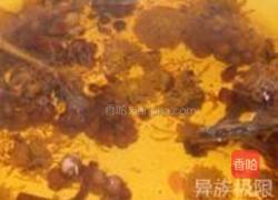 杭菊枇杷花饮的做法图解3