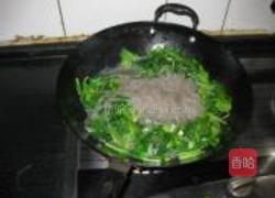 菠菜粉条的做法图解4
