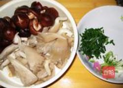 蚝油烩双菇的做法图解2
