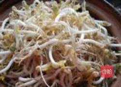 砂锅生绿豆芽的做法图解10