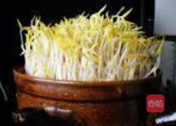 砂锅生绿豆芽的做法图解11