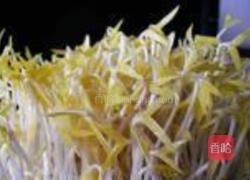 砂锅生绿豆芽的做法图解12