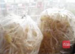 砂锅生绿豆芽的做法图解15