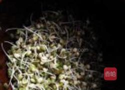 砂锅生绿豆芽的做法图解5