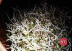 砂锅生绿豆芽的做法图解6