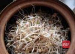 砂锅生绿豆芽的做法图解8