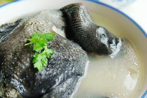 清炖乌鸡汤