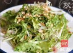 凉拌苦菊的做法图解8