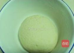 纯碱茴香花卷的做法图解2