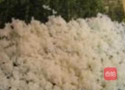 水滴寿司的做法图解5