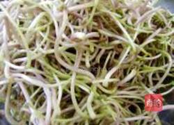 绿豆芽炒粉的做法图解1