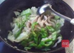 鲜蘑圆白菜的做法图解6