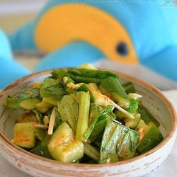 小白菜拌黄瓜的做法[图]
