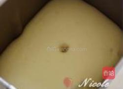 黄金老面包的做法图解7