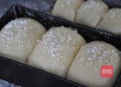 香草牛奶土司的做法图解5
