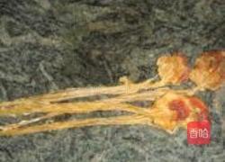 明目鱼煲汤的做法图解1