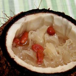 枸杞子雪耳炖椰子的做法[图]