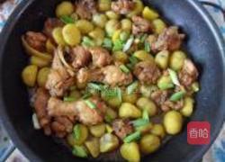 红烧栗子鸡块的做法图解10