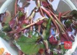 凉拌鱼腥草叶的做法图解1
