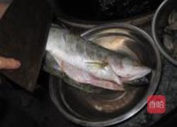 油焖鲈鱼的做法图解5