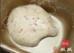 双花土司的做法图解16