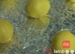 生蛋黄版玛格丽特小饼的做法图解13