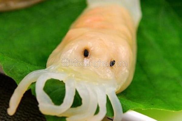 水晶鱿鱼饺