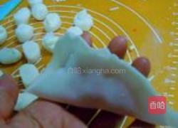 水晶鱿鱼饺的做法图解13