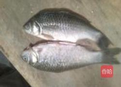清蒸豆瓣酱鱼的做法图解1