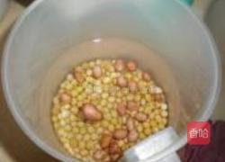 核桃花生豆浆的做法图解1