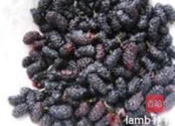 桑葚果酱的做法图解1