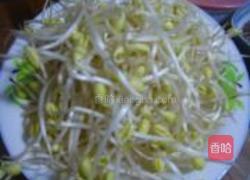 川味豆芽的做法图解1