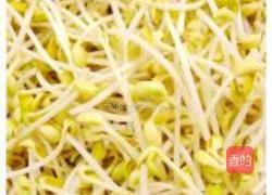 黄豆芽拌饭的做法图解8