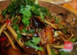 干锅茶树菇的做法图解8