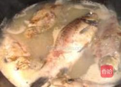 石斛鲫鱼汤的做法图解3