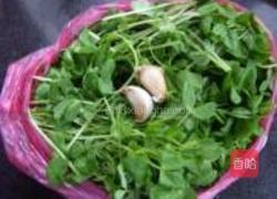 素炒豌豆苗的做法图解1