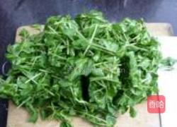 素炒豌豆苗的做法图解4