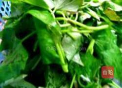 凉拌红薯叶的做法图解1