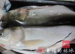 酸菜炖白鲢的做法图解1