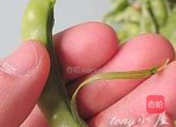 软荚豌豆炒春笋的做法图解4