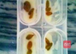 提子牛奶雪糕的做法图解4