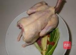 枸杞蒸乳鸽的做法图解1