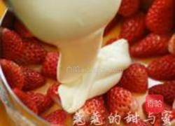 乳酪草莓蛋糕的做法图解29