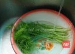 茴香鸡蛋饼的做法图解1