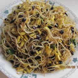 清炒黑豆芽的做法[图]