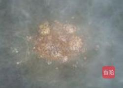 栗香红烧肉的做法图解9