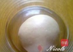 肉桂人参果面包卷的做法图解10