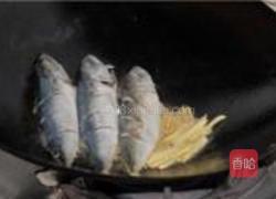 姜丝煮鲅鱼的做法图解5