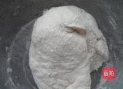 香椿肉饺子的做法图解2