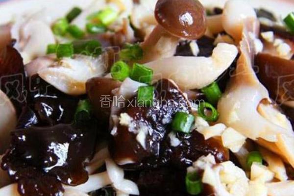 红油杂菌